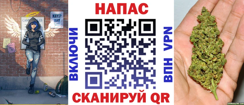 Каннабис сатива  kraken сайт  Ядрин  купить закладку 